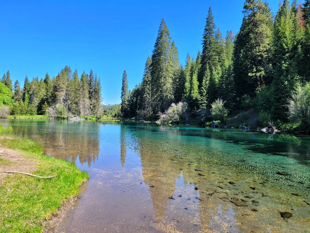 Image uploaded by Ramson