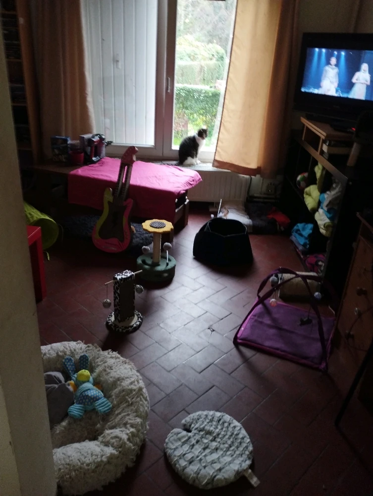 Image ajoutée par Aurélie