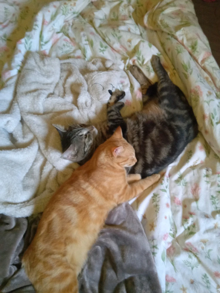 Image uploaded by Yuwei