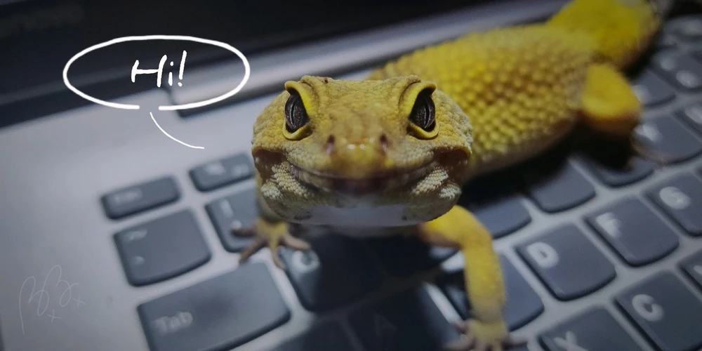 Image uploaded by BEEBEE