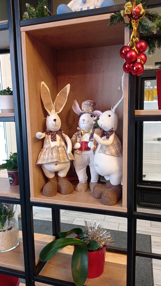 Фото загрузил Екатерина