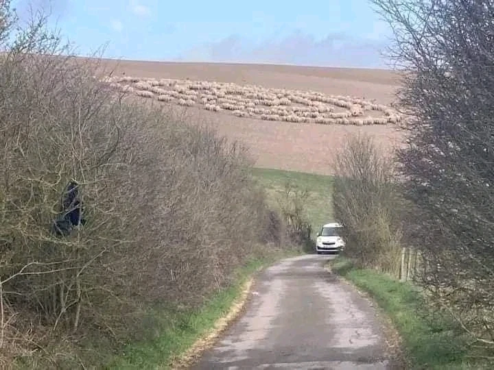 Image uploaded by Aurora