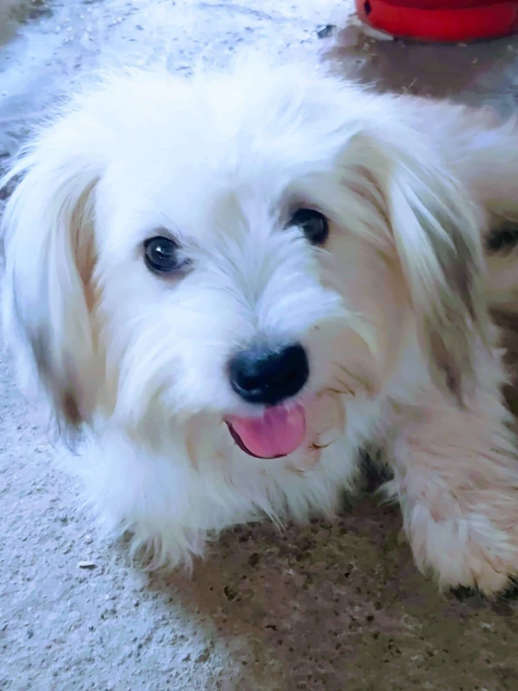 Image uploaded by kyla