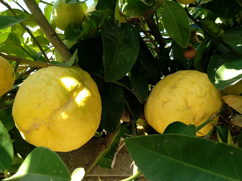 Image uploaded by *₳₴₮ⱤØ*