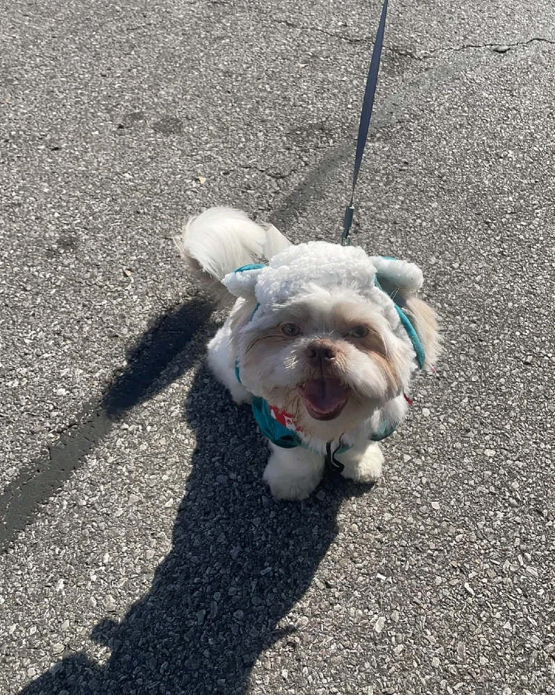 Image uploaded by Bre
