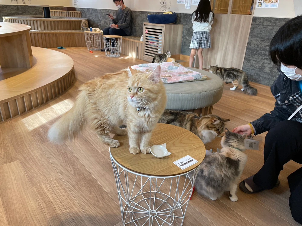 Image uploaded by nakyu