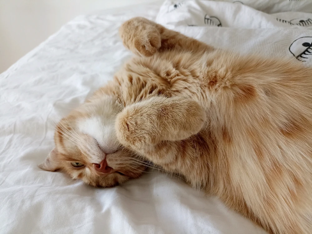 Фото загрузил Наталья