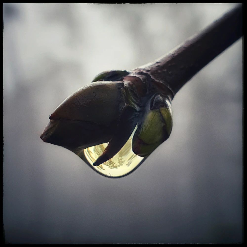 Bild hochgeladen von Christian