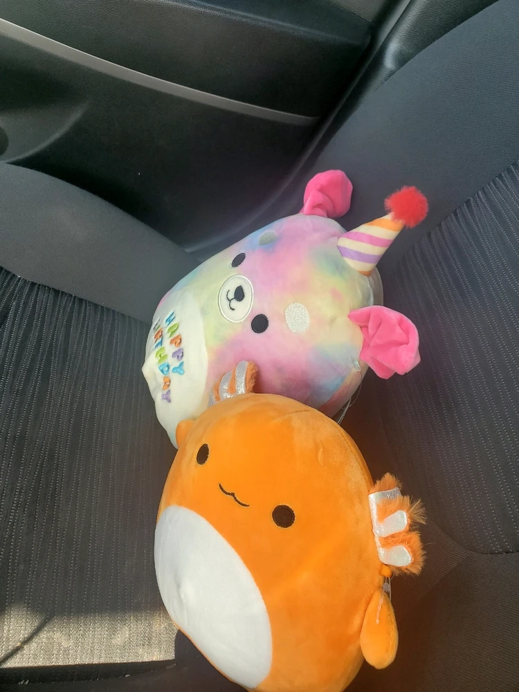 Image uploaded by Alice