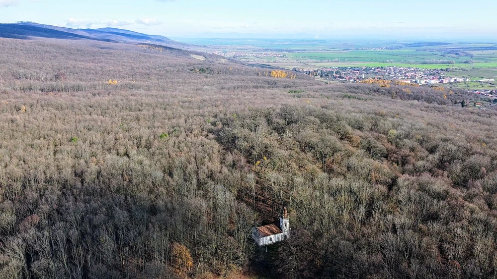 Image uploaded by Gabriel