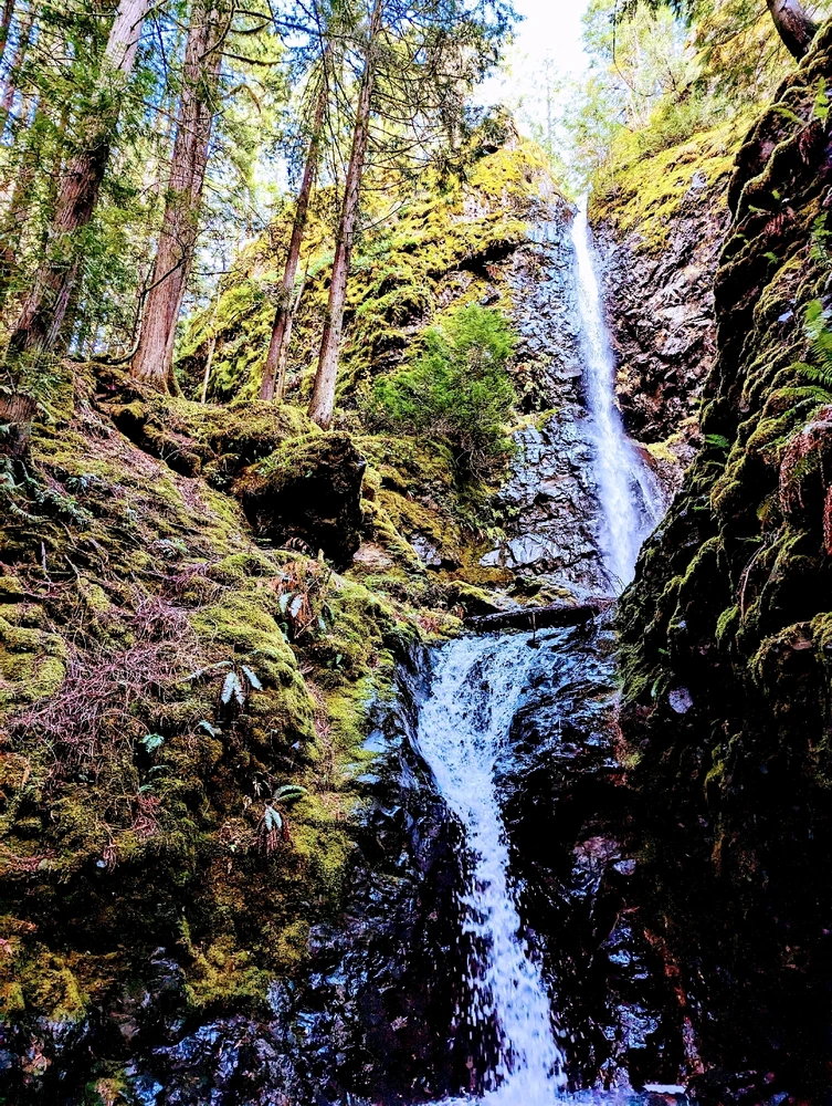 Never have I ever...