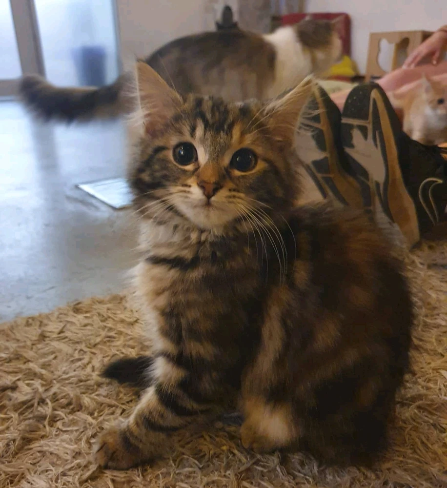 Image uploaded by Aidan