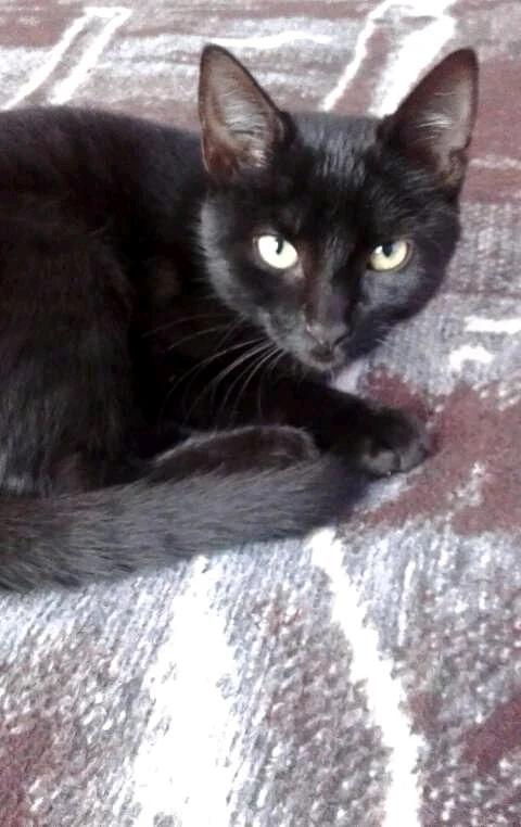 Imagen subida por Gustavo