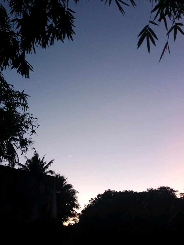 Image uploaded by Morena