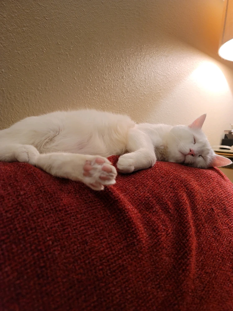 Image uploaded by John