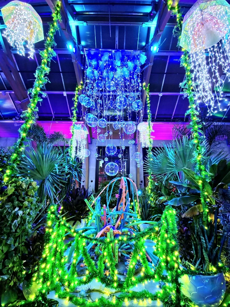 Image uploaded by Megan