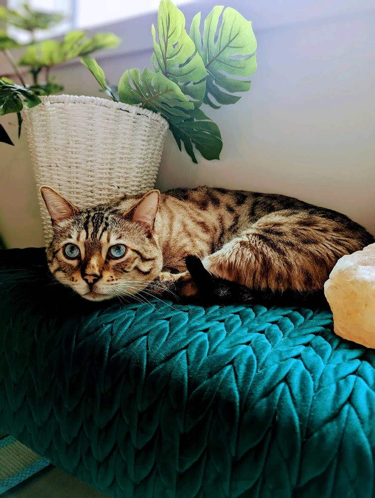 Image uploaded by Heaven Marie