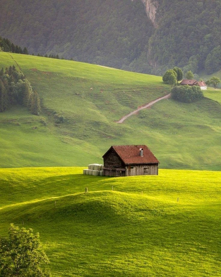 Gambar diunggah oleh Ooys