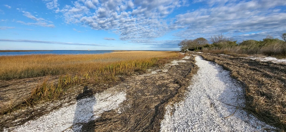 Would you walk this trail with me?