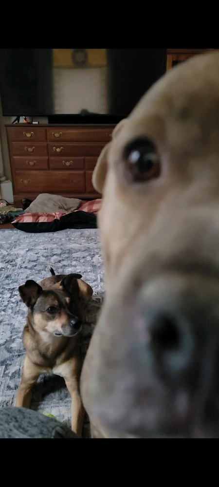 Image uploaded by Marissa