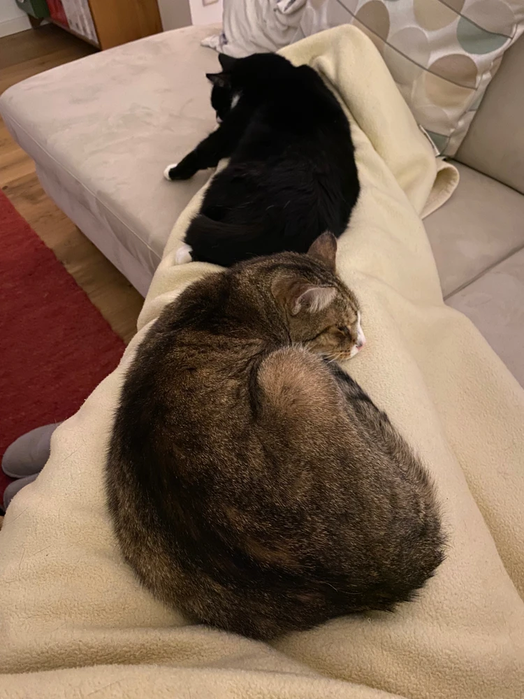 Bild hochgeladen von Sally