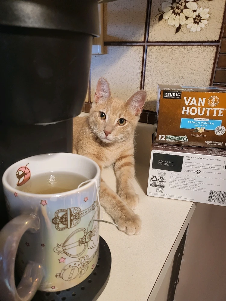 Chrissy님이 올린 사진