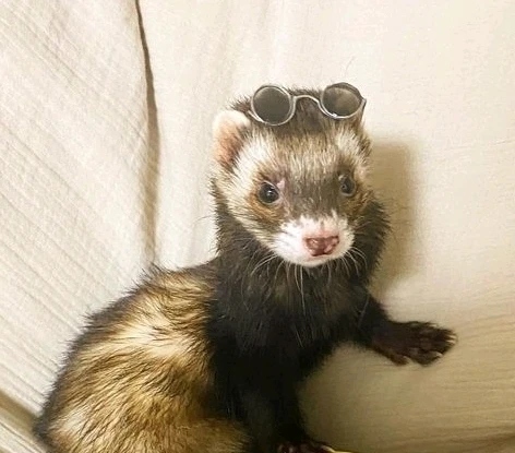 Imagen subida por Luis