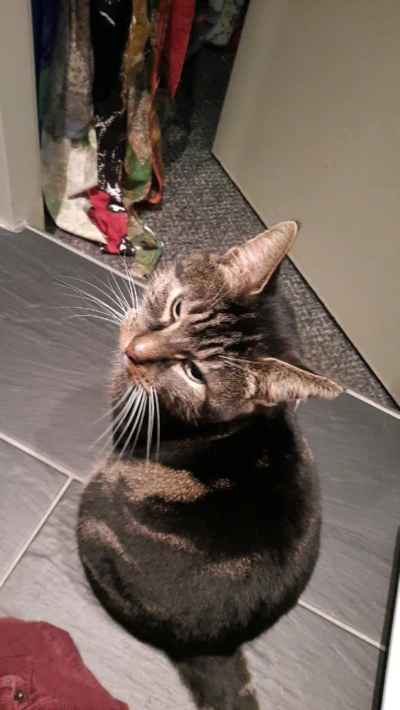 Image uploaded by Remco