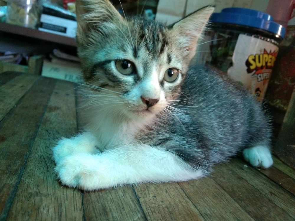 Image uploaded by JoVy