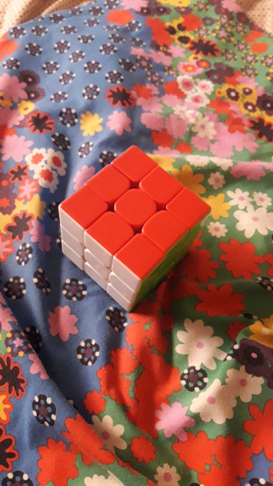 Image uploaded by Martín🌱💜