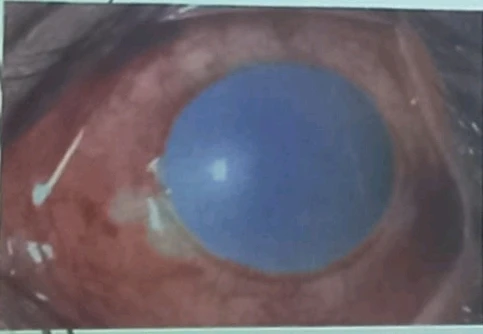 Imagen subida por Daniel