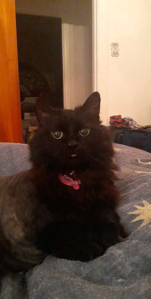 Image ajoutée par Christina