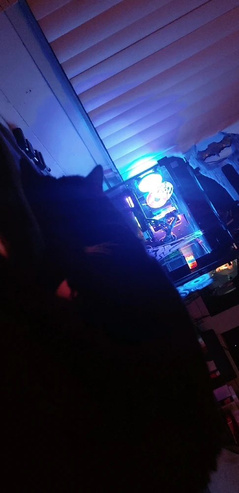 Image uploaded by Alexander