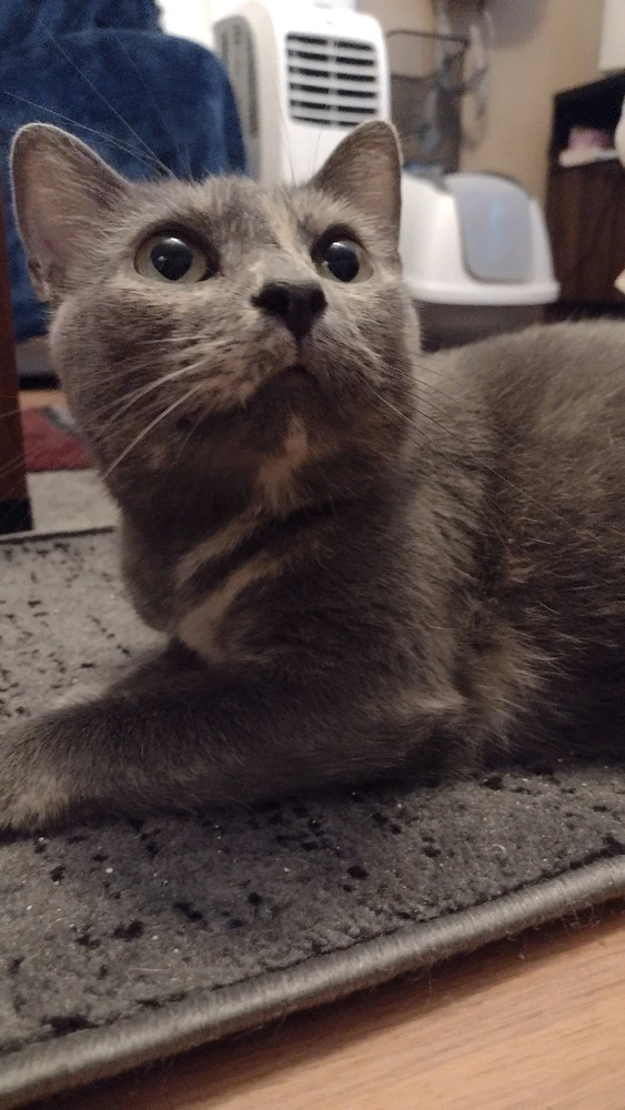 Image uploaded by Luke