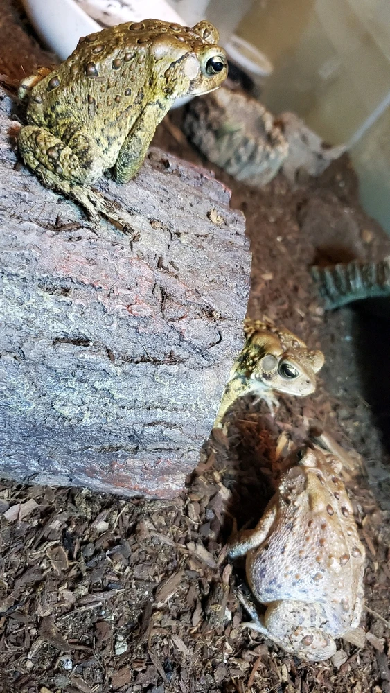 Image uploaded by Marion