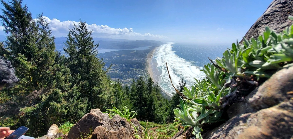 Image uploaded by Adi