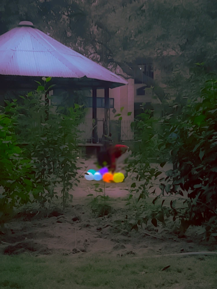 Image uploaded by Rishabh Jalan