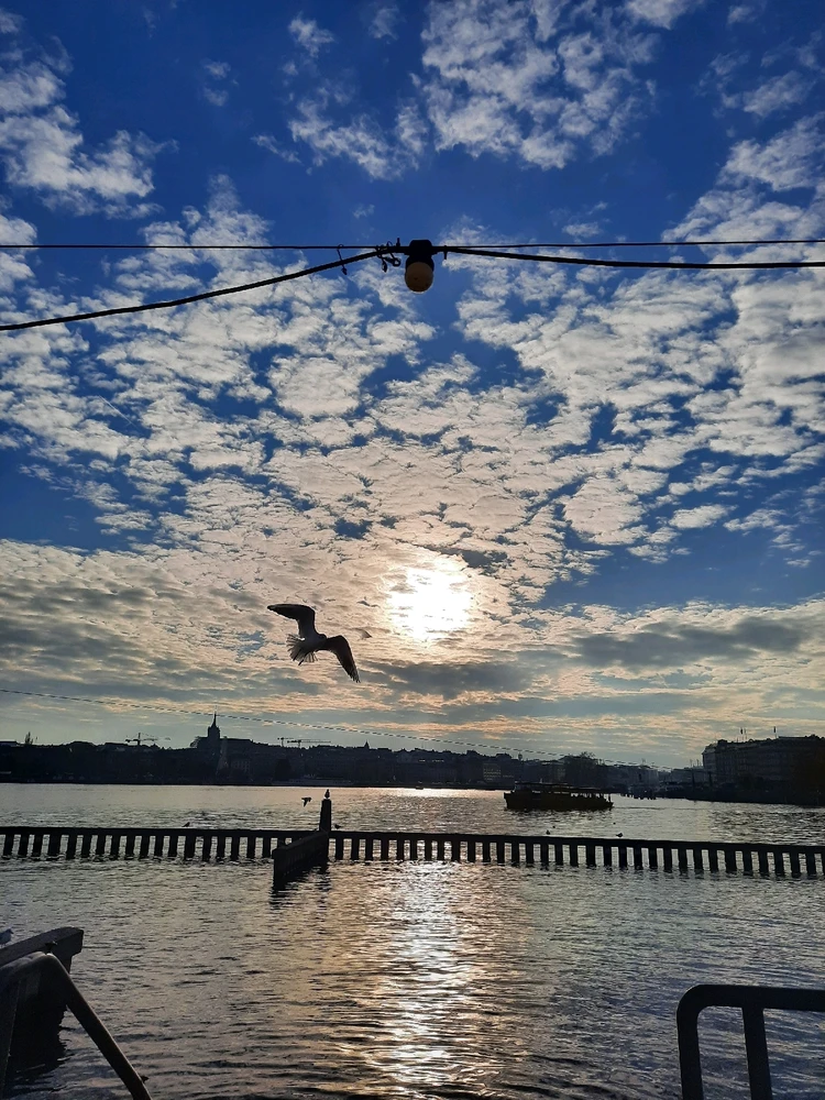 Image ajoutée par Lau