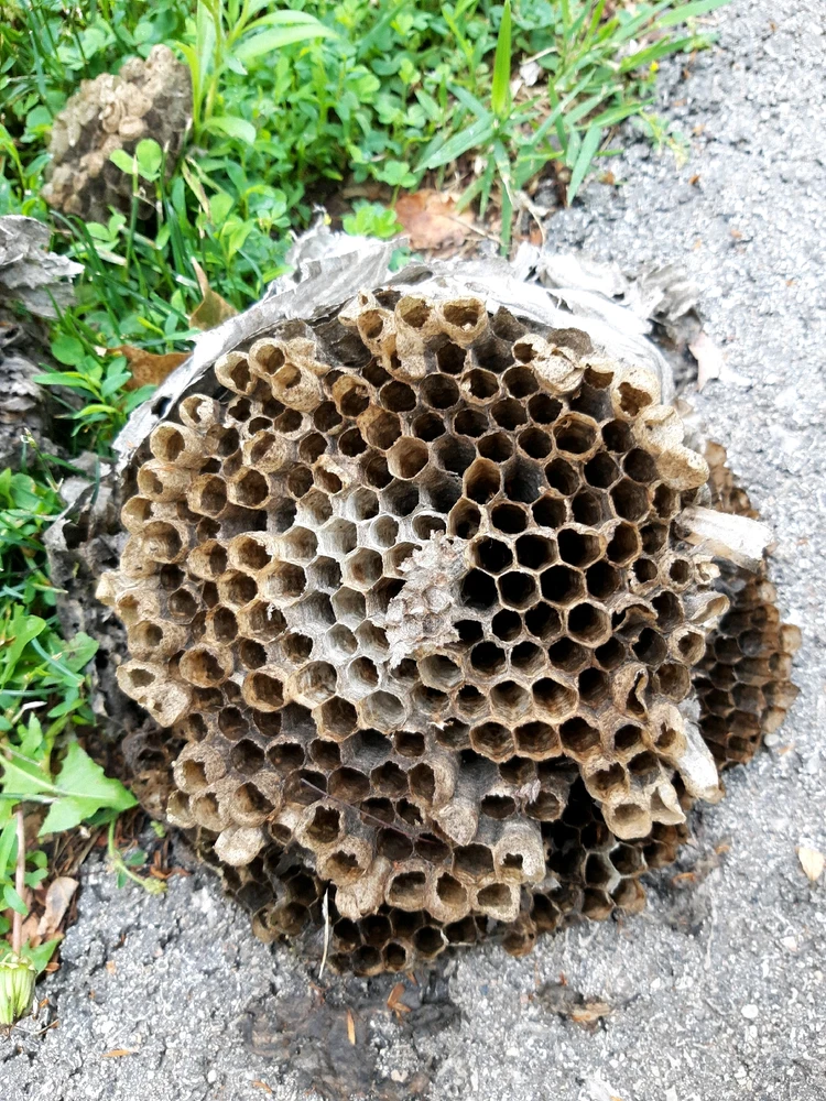 Image uploaded by 𓄂𝕮𝖔𝖘𝖒𝖎𝖈𓆃