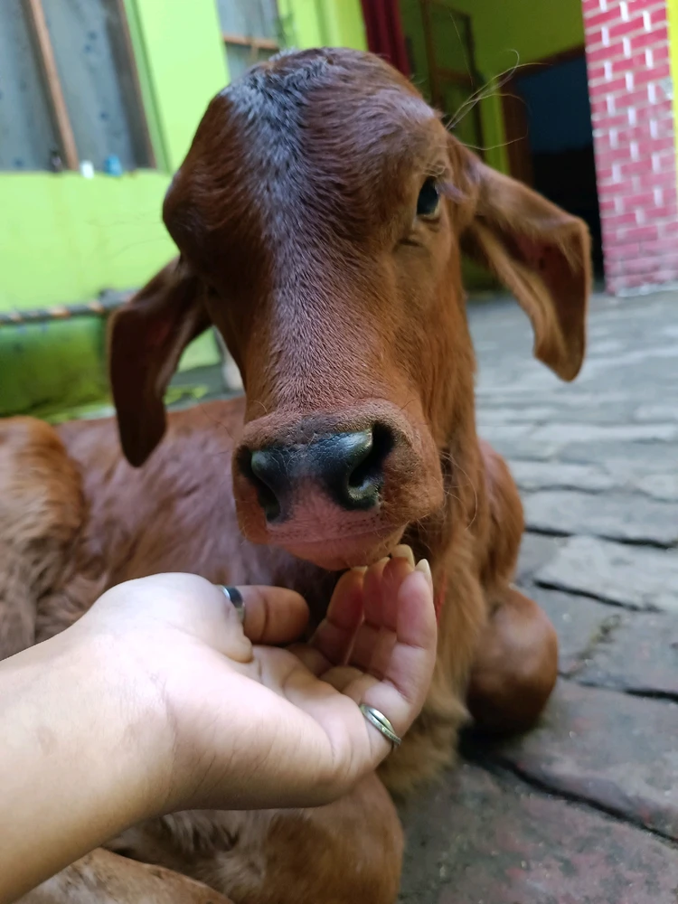 Image uploaded by Surbhi Choudhary