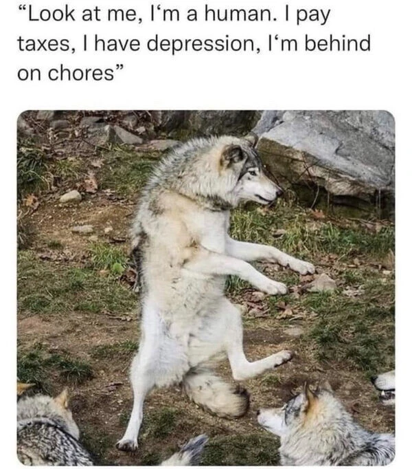 由Ken上传的图片