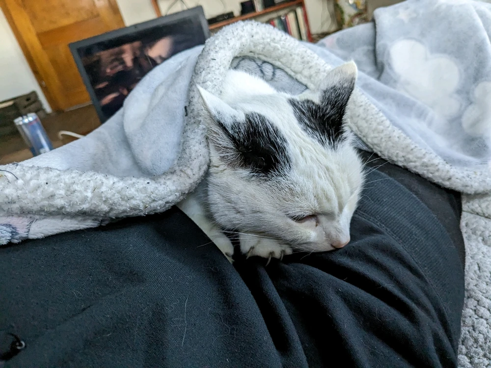 Bild hochgeladen von Lina 🛸