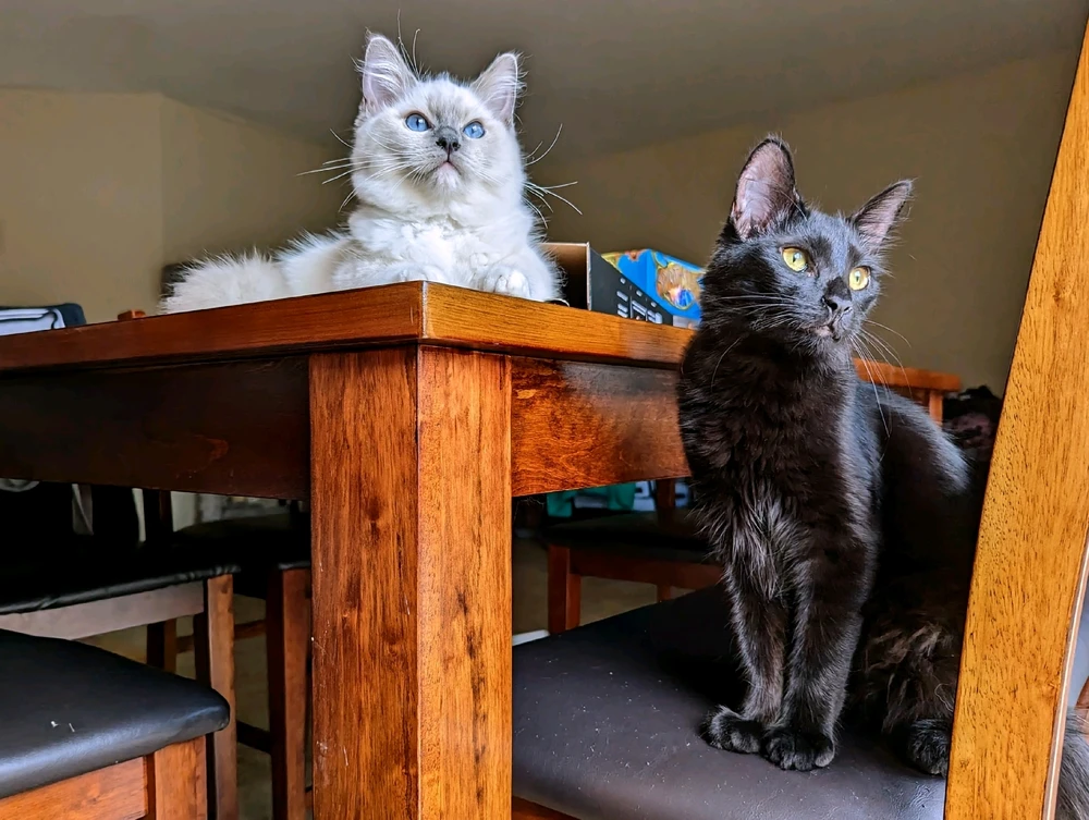 I-upload ni Angie ang larawan