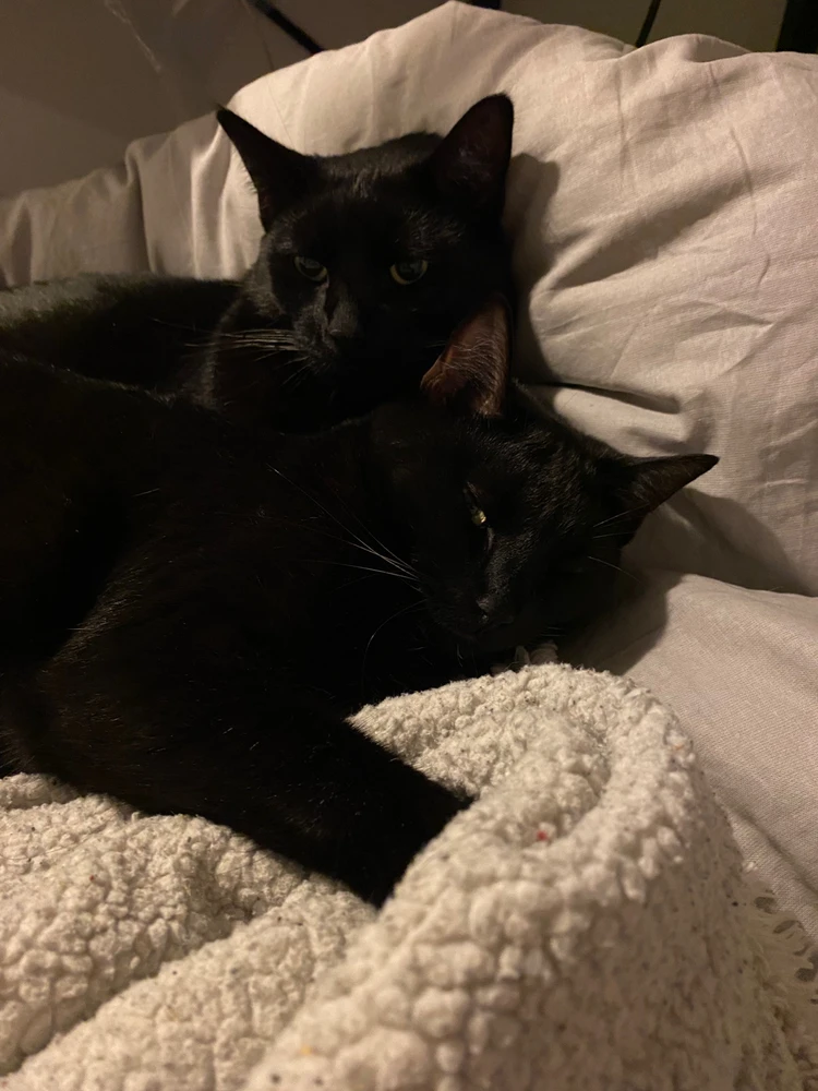 Image uploaded by Marion