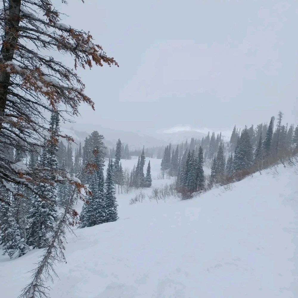 Image uploaded by Tjark