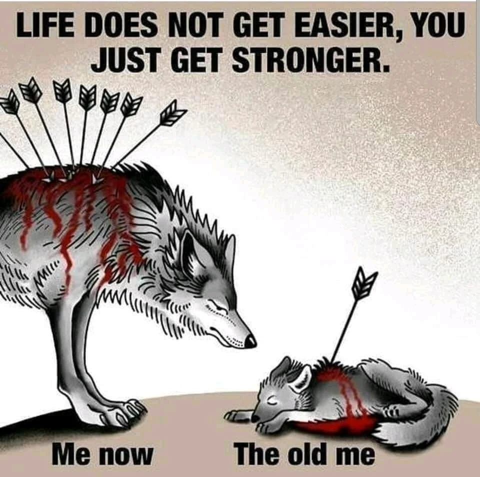 Image uploaded by Sunny ✨