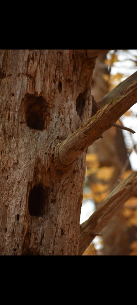 Gi-upload ni Stephanie ang hulagway