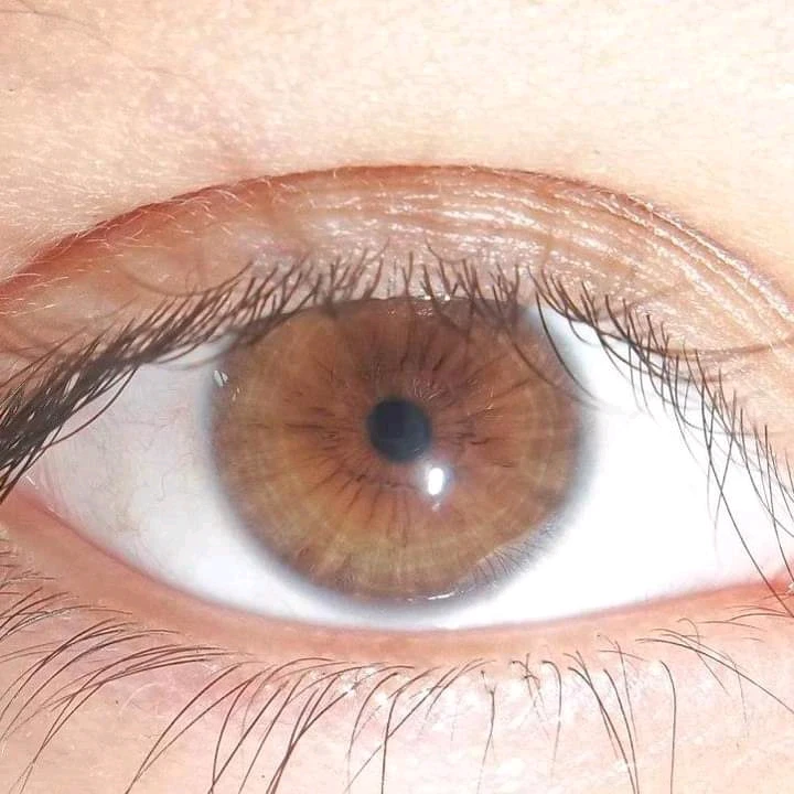 Image uploaded by Bryan