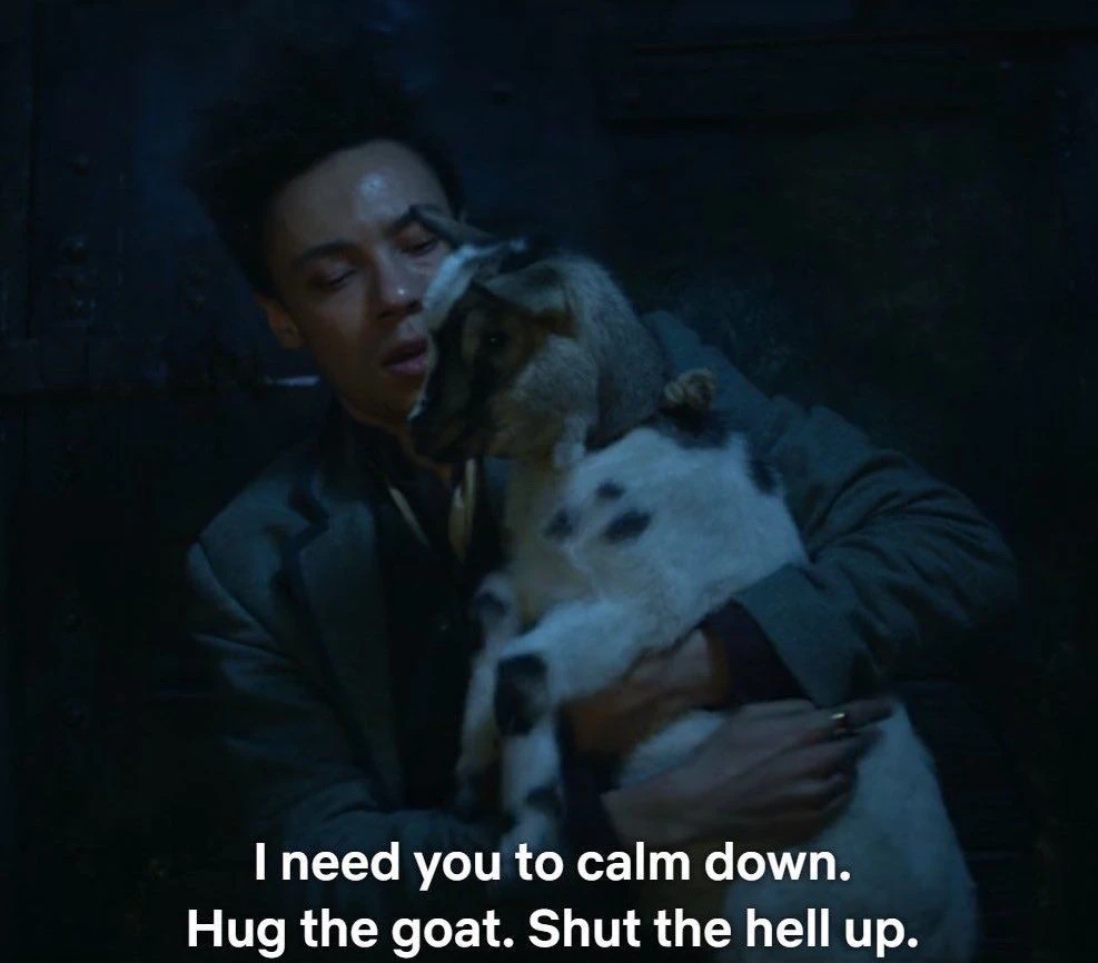 Image uploaded by bee