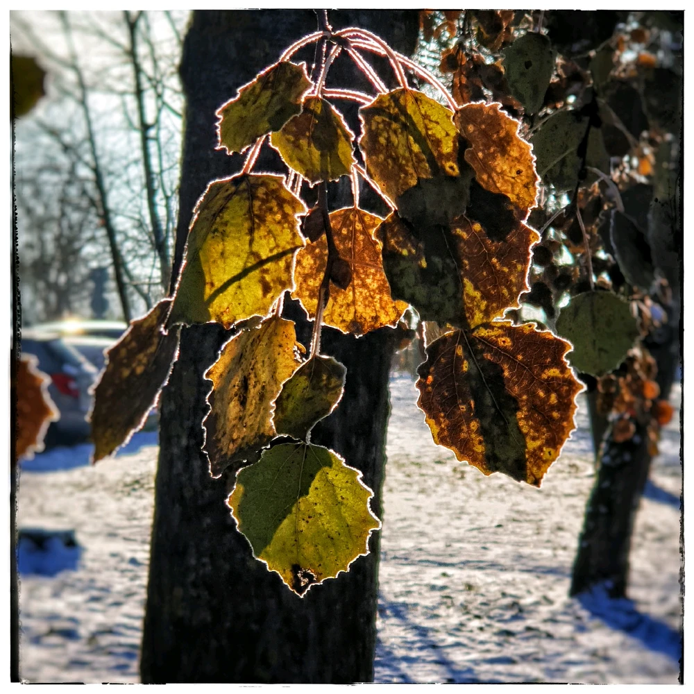 Bild hochgeladen von Christian